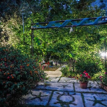 Arya Holiday Houses Çıralı Zewnętrze zdjęcie