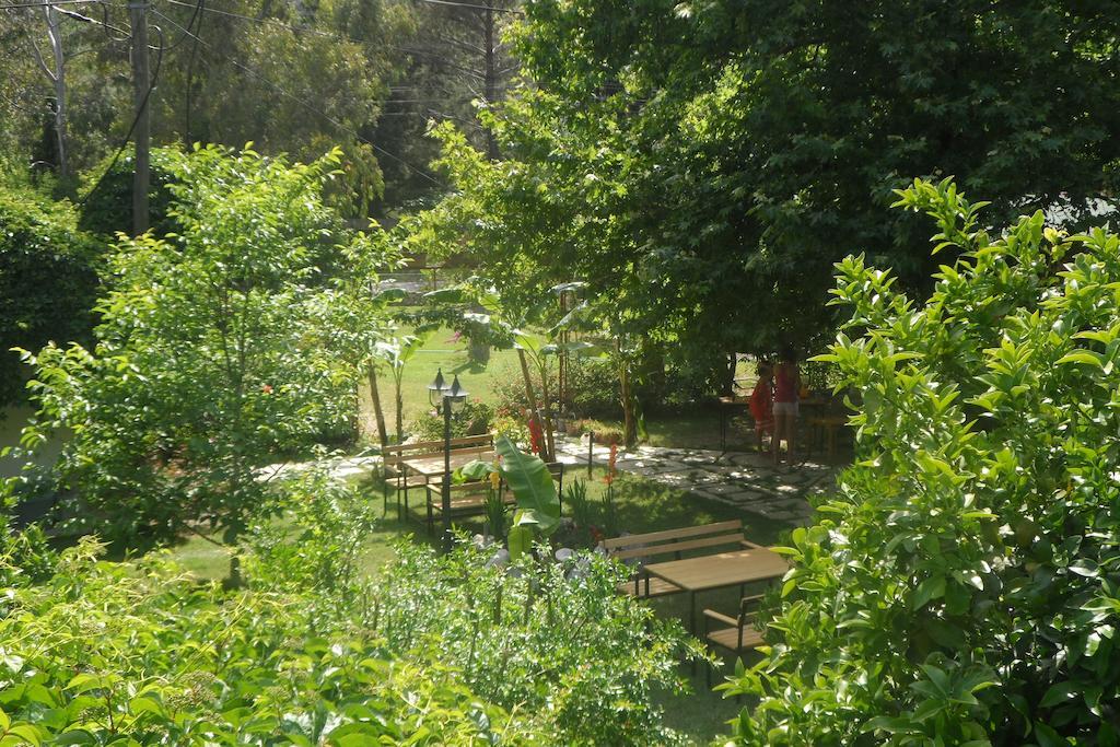 Arya Holiday Houses Çıralı Zewnętrze zdjęcie