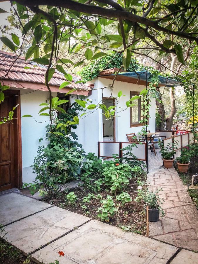 Arya Holiday Houses Çıralı Zewnętrze zdjęcie