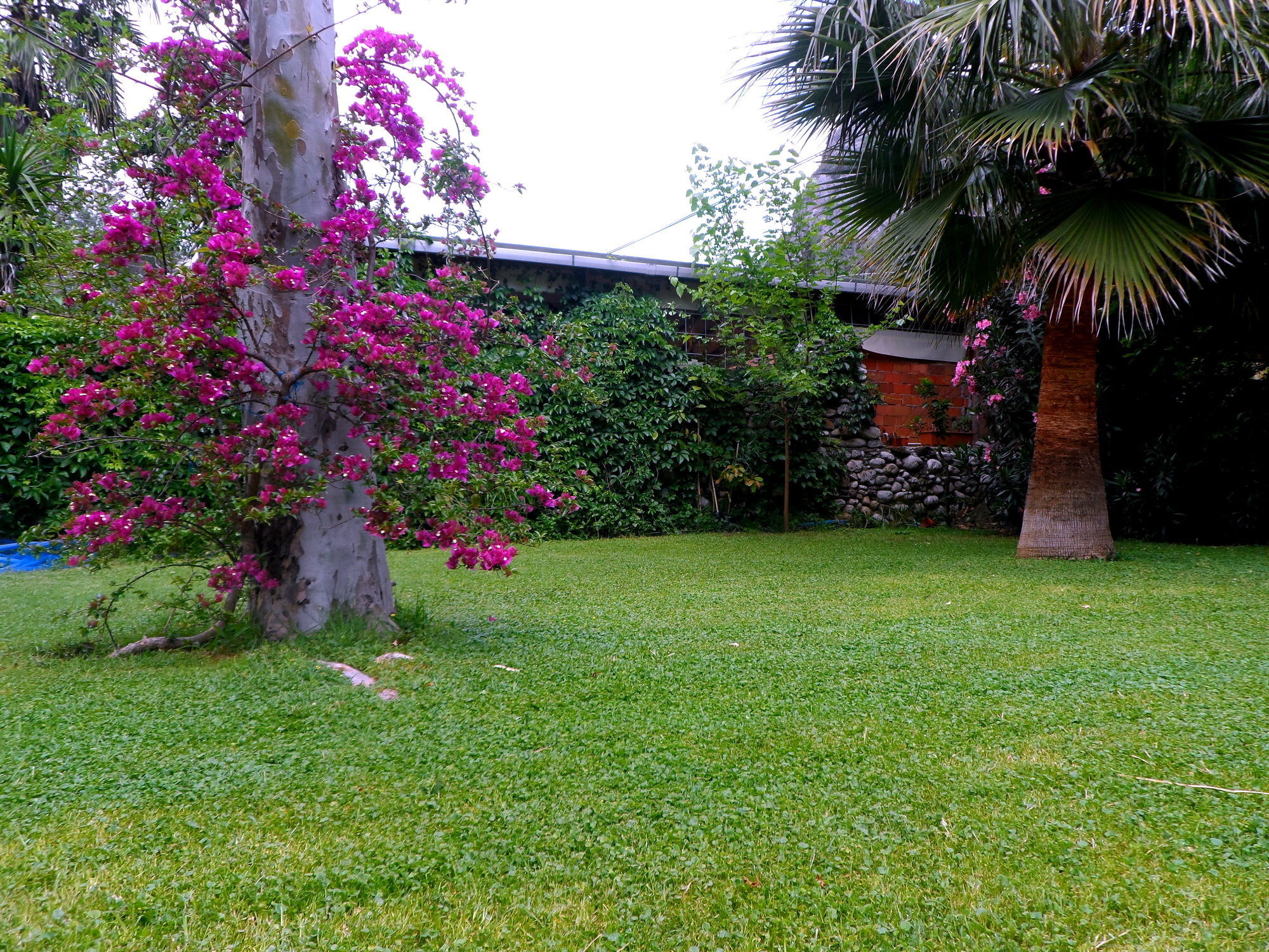 Arya Holiday Houses Çıralı Zewnętrze zdjęcie