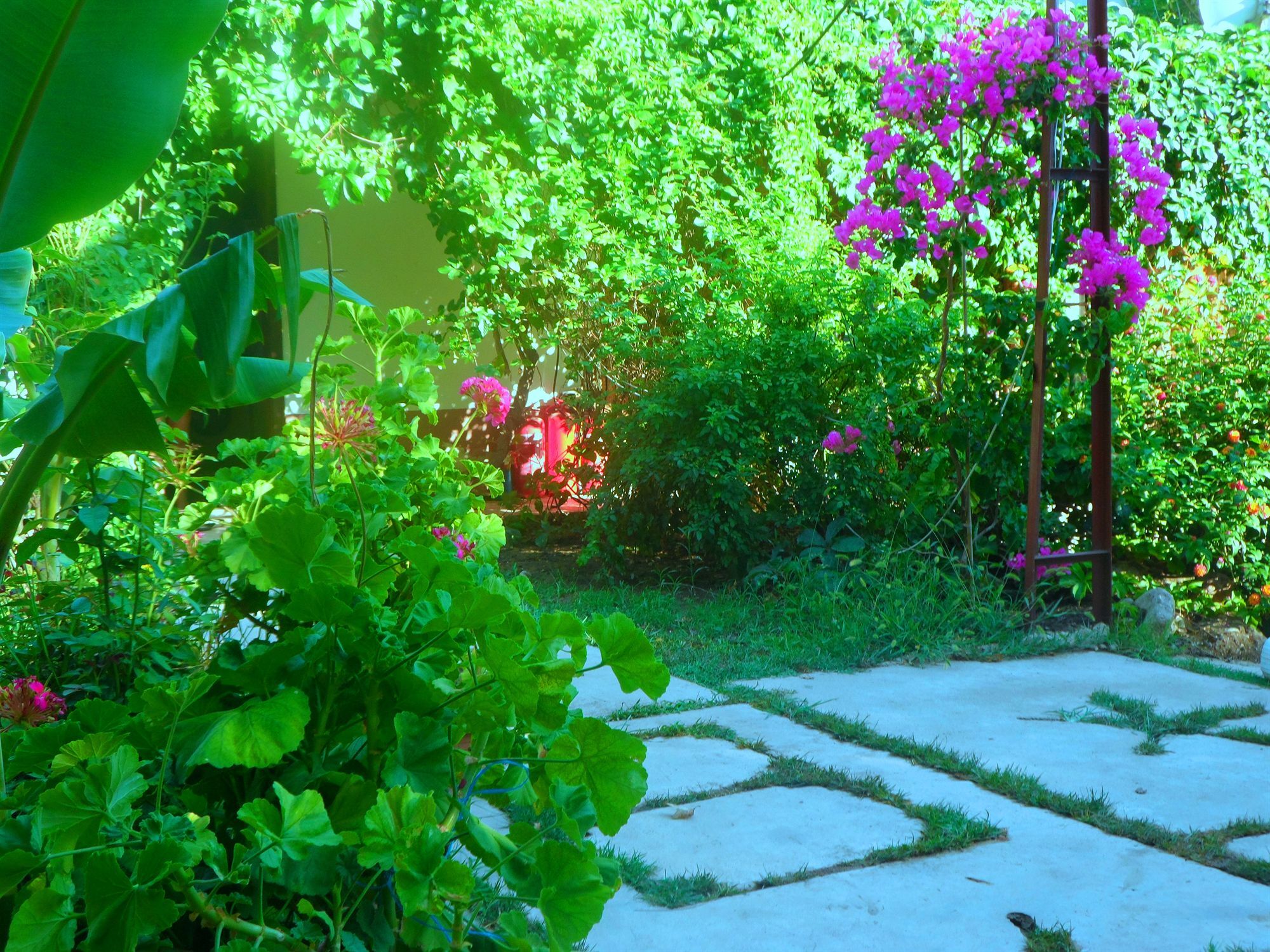 Arya Holiday Houses Çıralı Zewnętrze zdjęcie