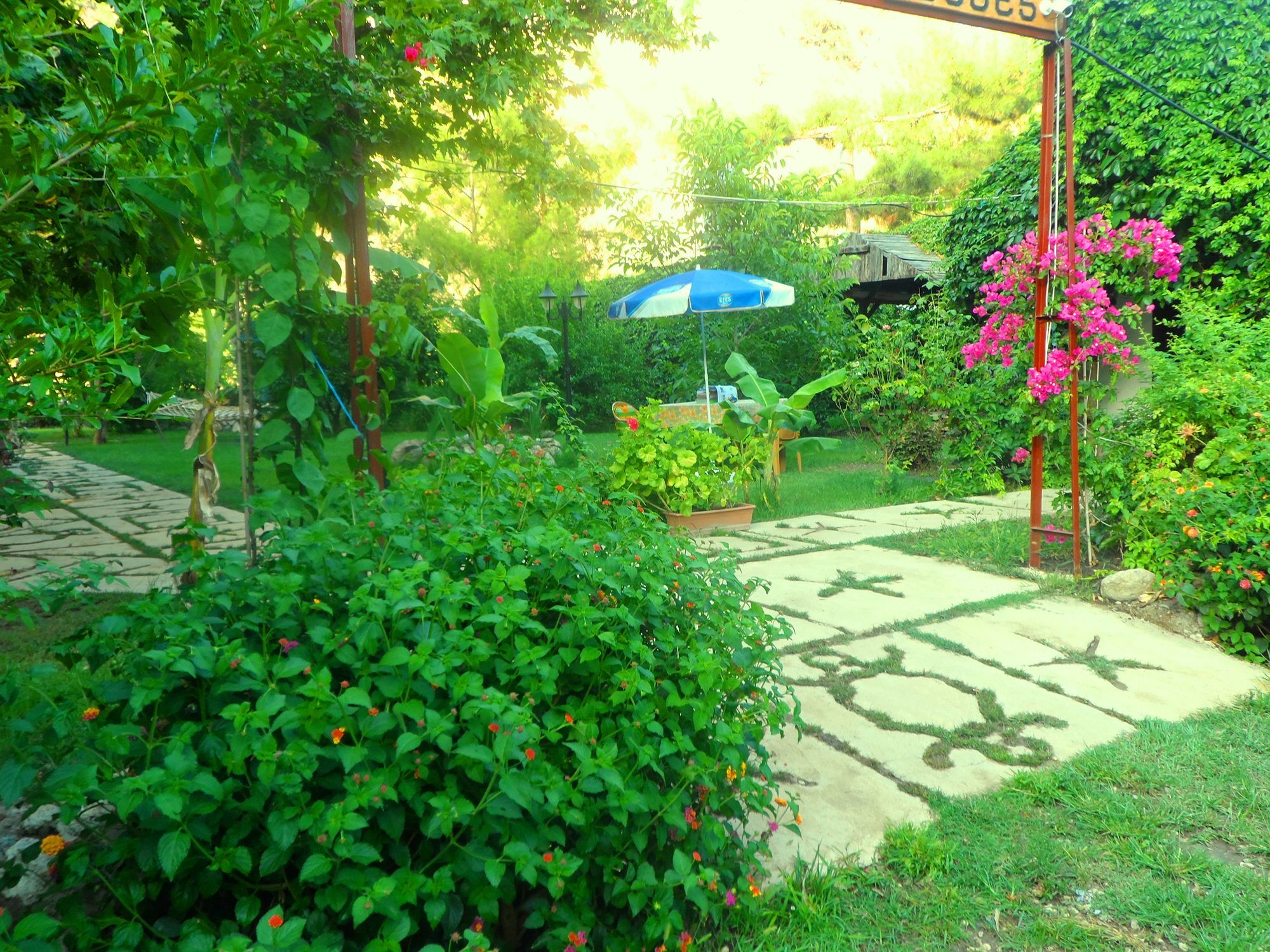 Arya Holiday Houses Çıralı Zewnętrze zdjęcie